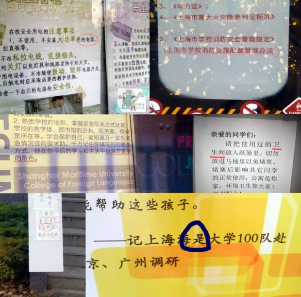 zhuomuniao